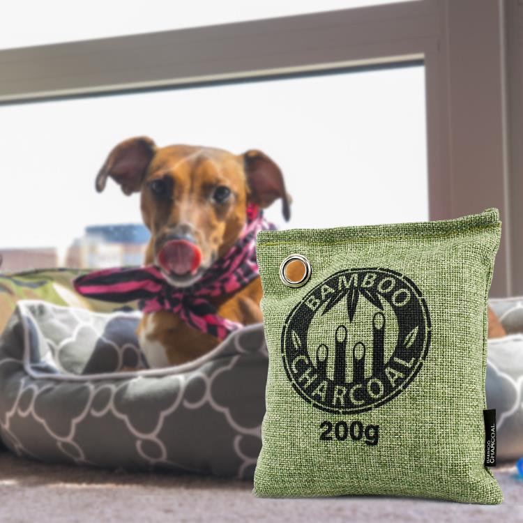 Crainn Ghníomhach Gníomhachtaithe Gualach Aeir Purifier Bag.jpg