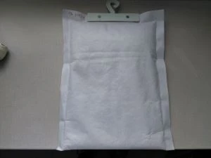 Dúnadh Triomach Bhia Taise