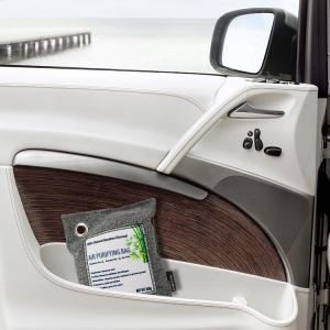 Car Deodorizer Closet Nó Seomra Aer Purifier