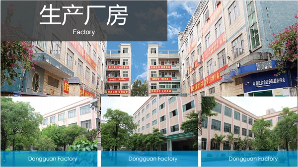Tuarascáil Iniúchta Achomair Dongguan Chunwang 2020 (BSCI)